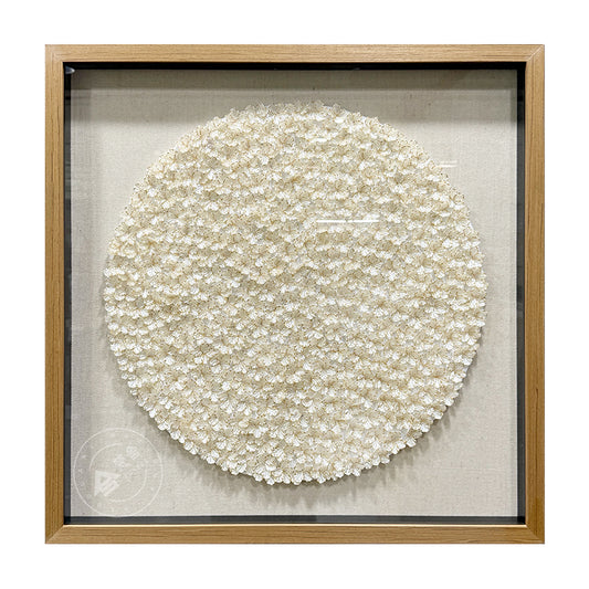 Natural Seashell Wall Art Flower Hanging Sculpture