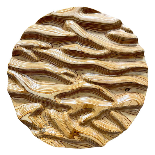 Carved Birch Wood Wall Art Topographic Round Medallion