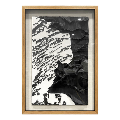Modern Corporate Lobby Art, 3D Black and White Organic Sculpture with Tempered Glass