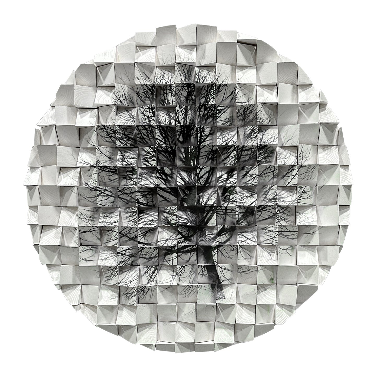 Modern circle wall decor with black-and-white tree art, handmade solid wood hanging for home and office.