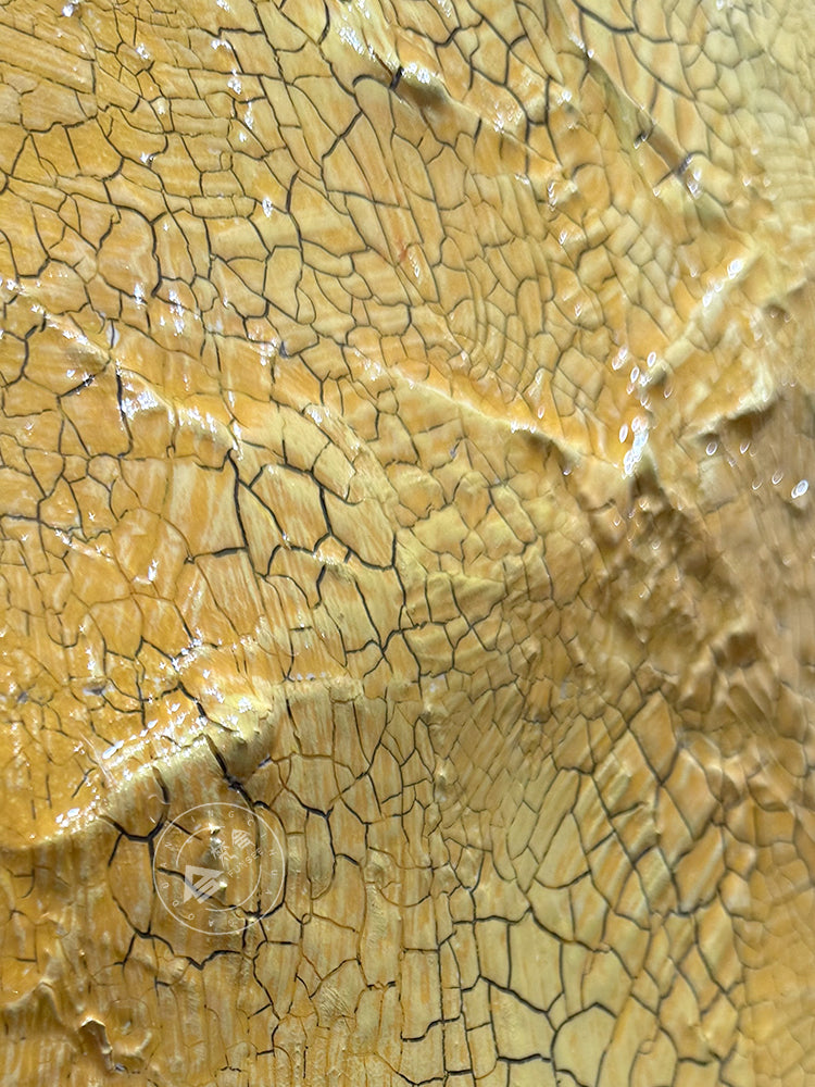 3D Wood Relief Resin Crackle Wall Art