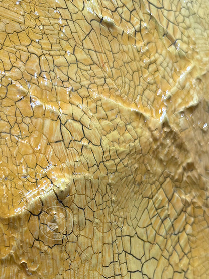 3D Wood Relief Resin Crackle Wall Art