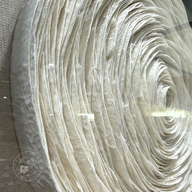 Sculpted Paper Wall Art Round Hanging Craft Artwork