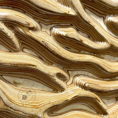 Carved Birch Wood Wall Art Topographic Round Medallion