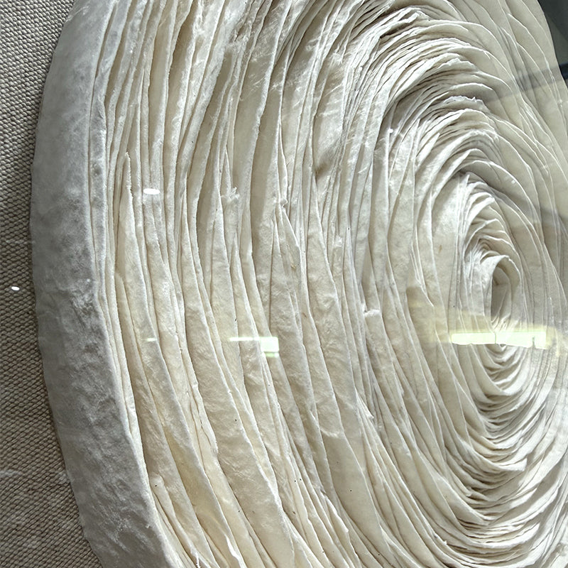 Sculpted Paper Wall Art Round Hanging Craft Artwork